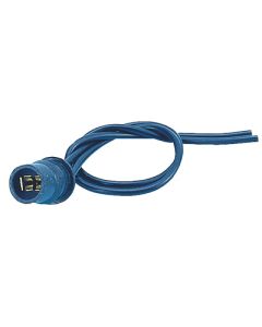 T10 lampfot