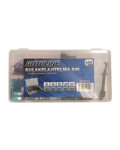Säkringssortiment Mini GM 120 st säkringar + tång