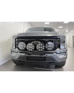 Q-LIGHT Ford F-150 21- extraljusfäste (extraljusbåge) för 4st lampor